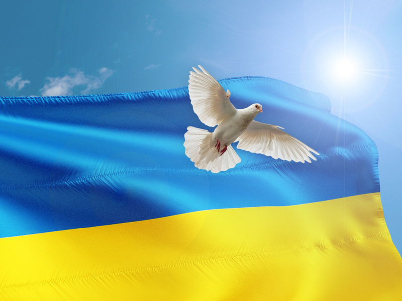 Friedenstaube vor ukrainischer Flagge