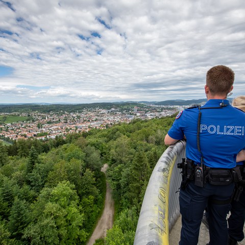 Aussichtsturm Brühlberg. Vergrösserte Ansicht