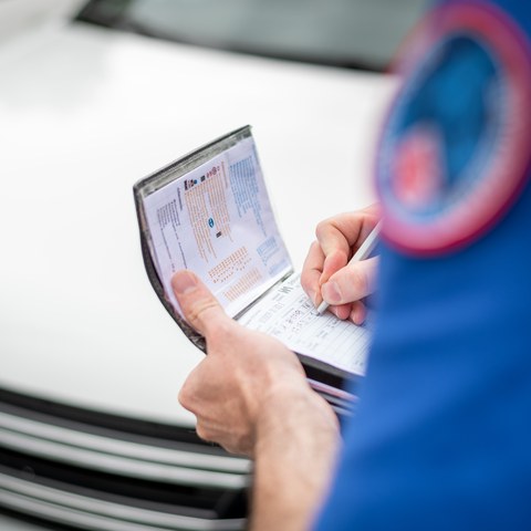 Busse. Vergrösserte Ansicht