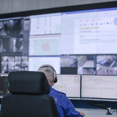 EZ_1. Vergrösserte Ansicht