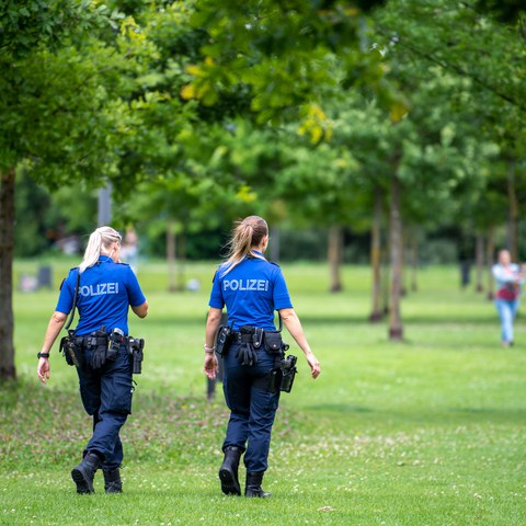 Fusspatrouille im Eulachpark II. Vergrösserte Ansicht