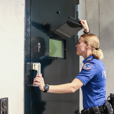 Verhaftung_2.jpg. Vergrösserte Ansicht