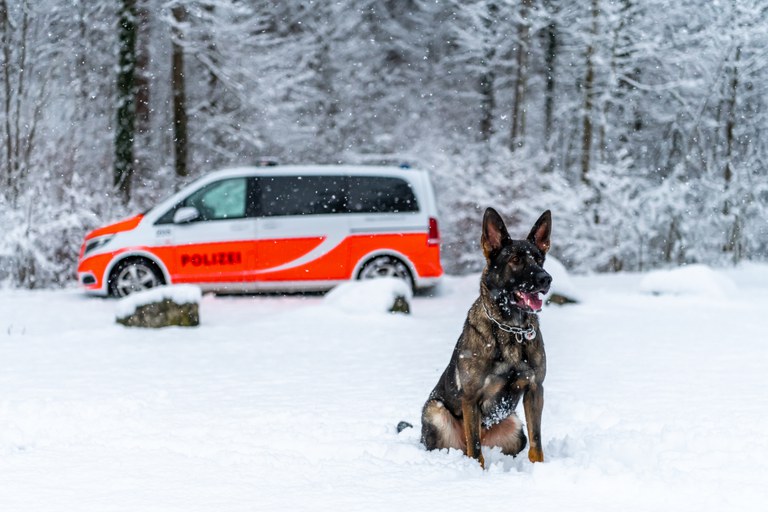 Polizeihund im Schnee