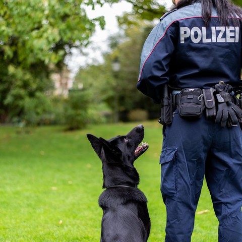 Polizistin mit Polizeihund. Vergrösserte Ansicht