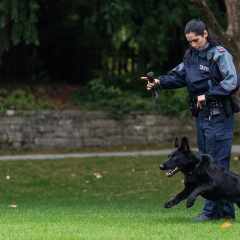 Polizistin mit Polizeihund im Einsatz. Vergrösserte Ansicht