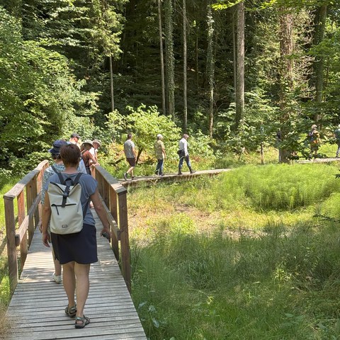 Exkursion ins Totentäli. Vergrösserte Ansicht