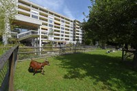 Alterszentrum Adlergarten - Bild von Jürg Schmid