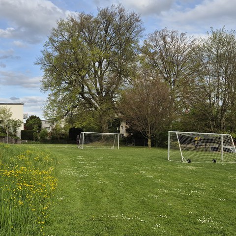 Spielplatz Bruehlbergstrasse Spielwiese.jpg. Vergrösserte Ansicht