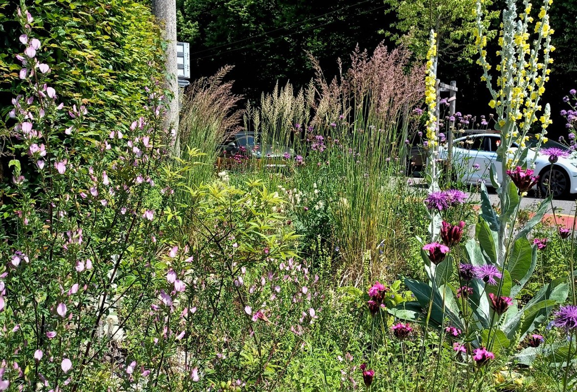 Winterthur blüht - Flächensponsoring