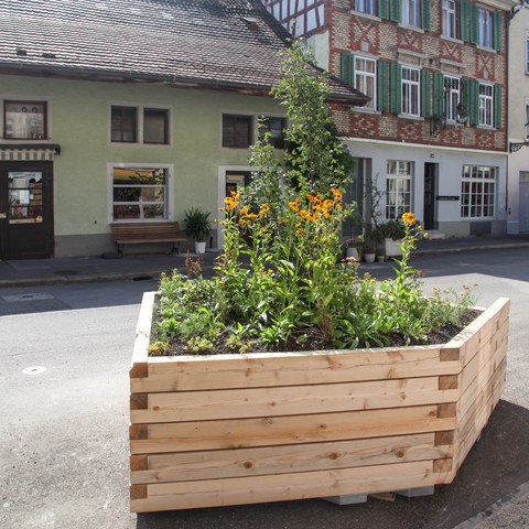 Ein Mobiles Grün in der Neustadtgasse.. Vergrösserte Ansicht