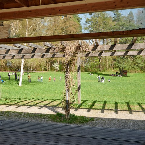 Guetli 26041130.jpg. Vergrösserte Ansicht