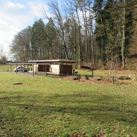 IMG_2090.JPG. Vergrösserte Ansicht