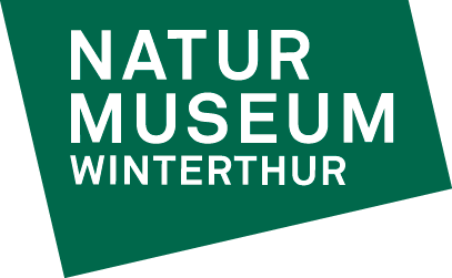 Logo Stadt Winterthur