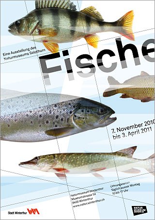Flyer Wechselausstellung Fische