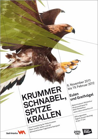 Flyer Wechselausstellung Krummer Schnabel, spitze Krallen
