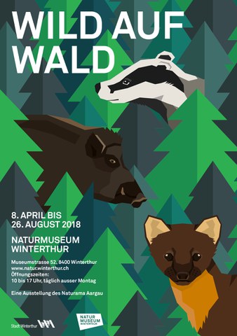 Flyer Wechselausstellung Wild auf Wald
