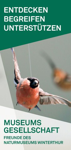 Werde Mitglied und unterstütze das Naturmuseum Winterthur