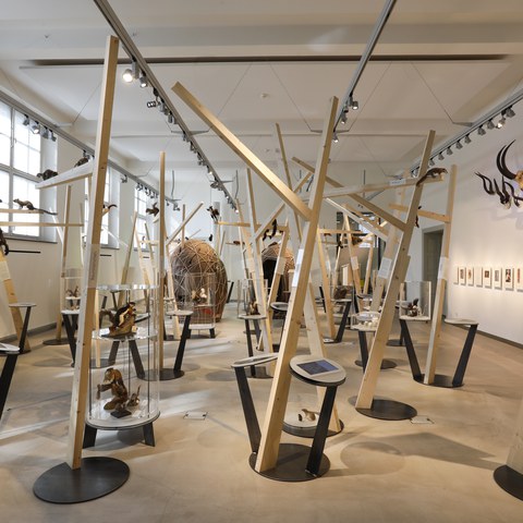 20250516_104107.jpg. Vergrösserte Ansicht