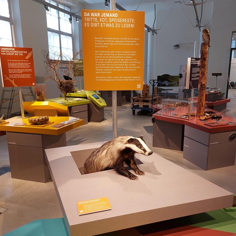 20250516_104107.jpg. Vergrösserte Ansicht