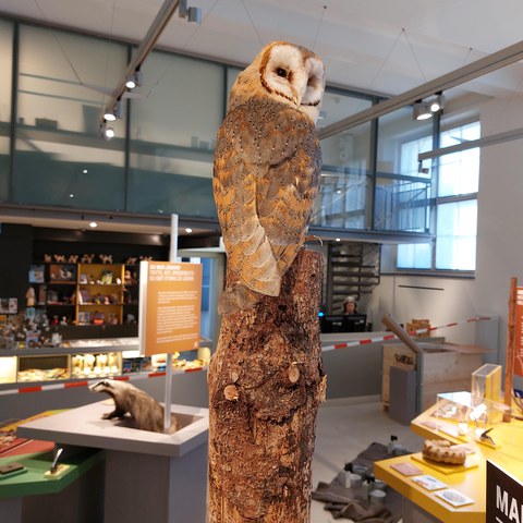 20250516_104249.jpg. Vergrösserte Ansicht