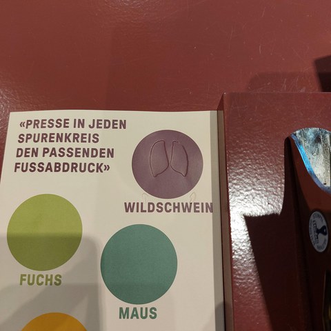 20250516_105303.jpg. Vergrösserte Ansicht