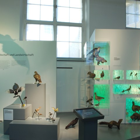 Dauerausstellung Landschaftsentwicklung. Vergrösserte Ansicht