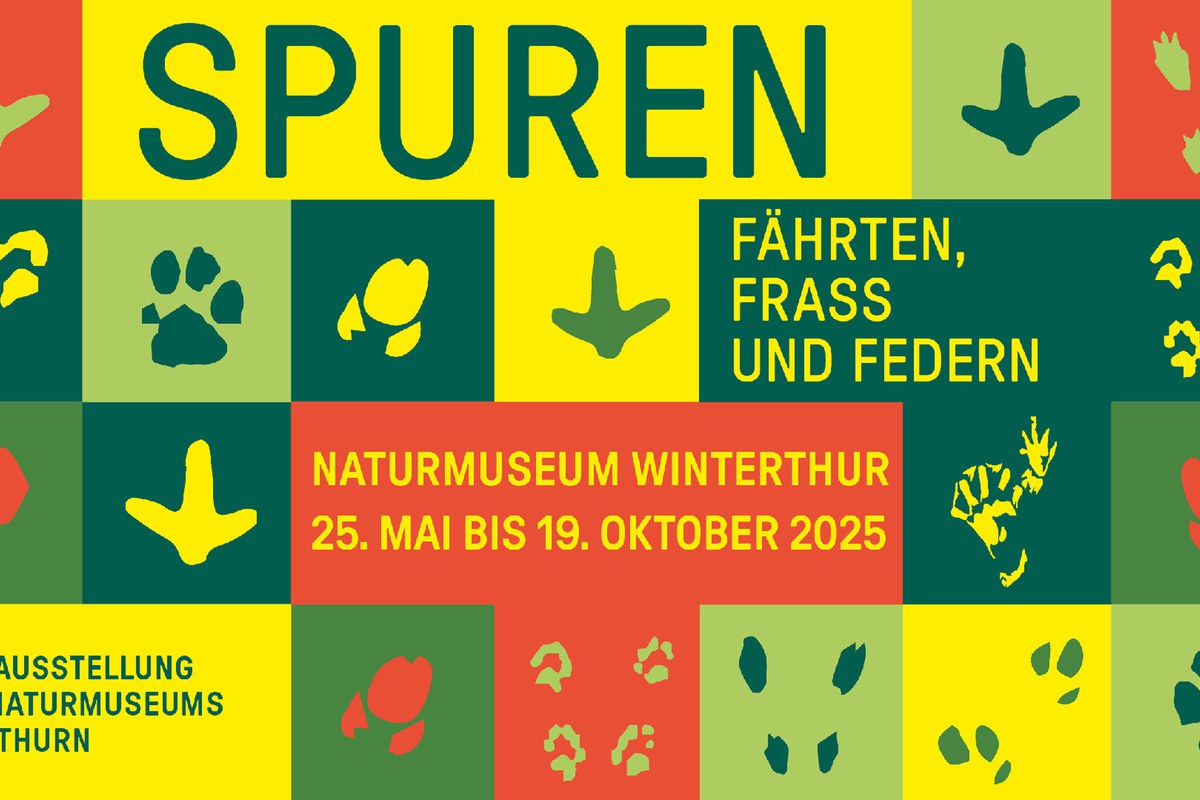 Spuren - Fährten, Frass und Federn