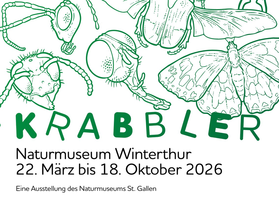 Krabbler Wechselausstellung vom 22. März bis 18. Oktober