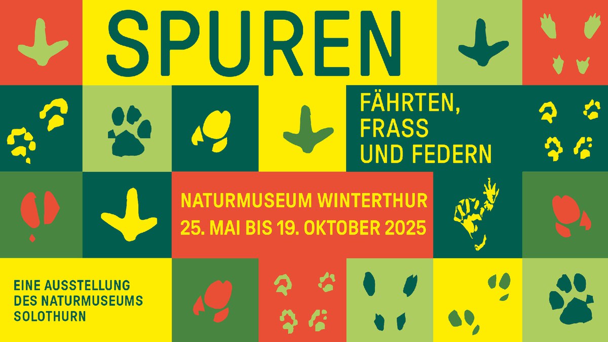 Spuren - Fährten, Frass und Federn
