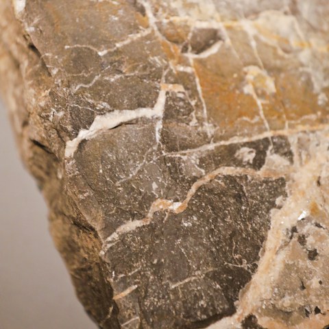 _MG_7129.jpg. Vergrösserte Ansicht