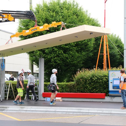 Begrünung Haltestelle Strahlegg. Vergrösserte Ansicht