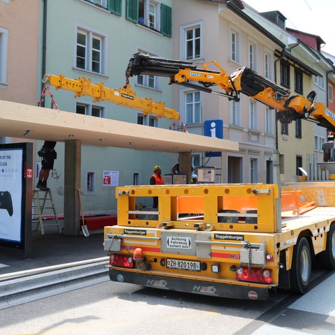 Begrünung Obertor. Vergrösserte Ansicht