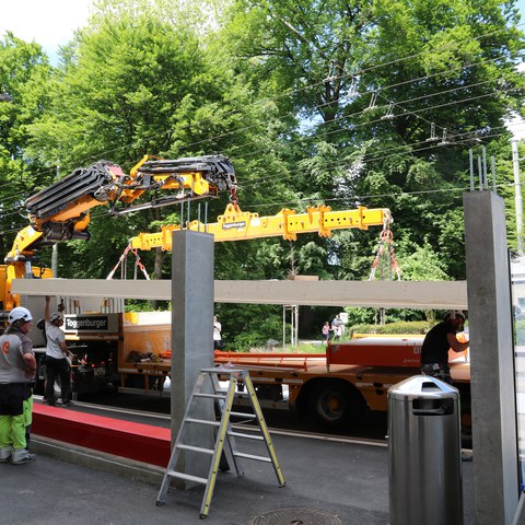 Begrünung Obertor. Vergrösserte Ansicht