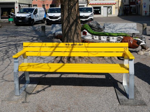 Eine gelbe Sitzbank steht unter einem Baum auf dem Kirchplatz in der Winterthurer Altstadt
