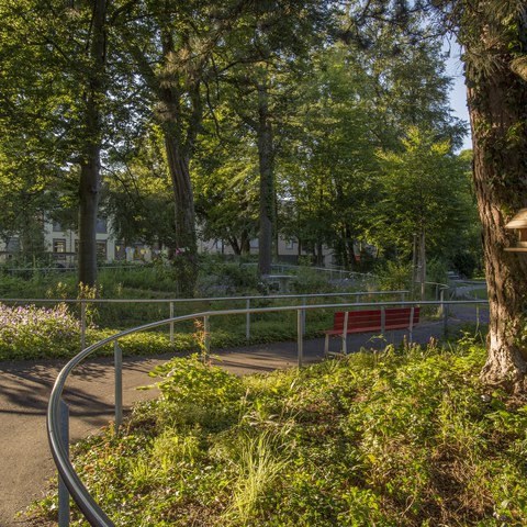 Demenzgarten . Vergrösserte Ansicht