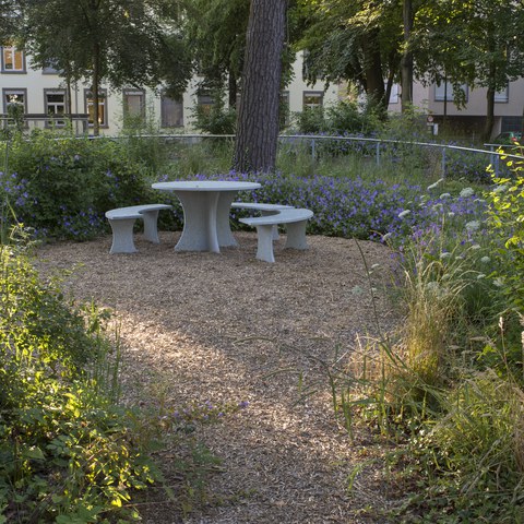 Demenzgarten . Vergrösserte Ansicht