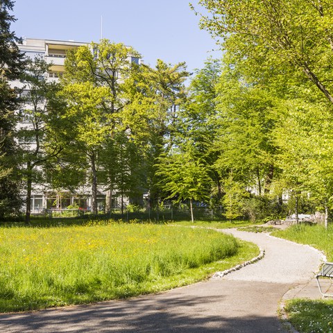 Alterszentrum Adlergarten. Vergrösserte Ansicht