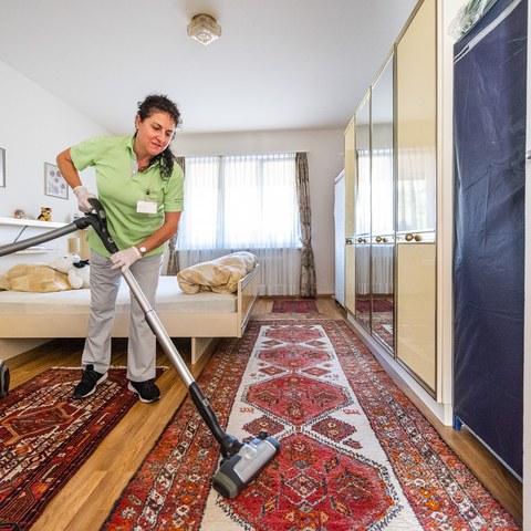 Hauswirtschaft. Vergrösserte Ansicht