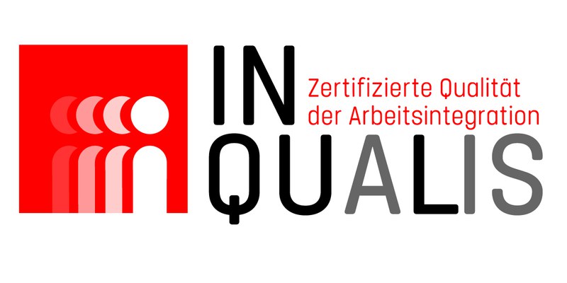 In-Qualis Logo