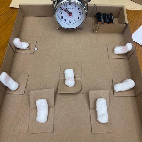 IMG_9168.jpg. Vergrösserte Ansicht