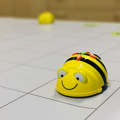 Workshop: Bee- & Blue-Bots – Die Roboterbienen Erobern Zyklus 1 ...