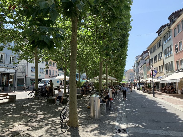 Baumreihen wirken wie Frischluftkorridore. (Foto: Irene Küpfer)
