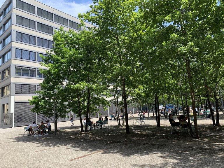 Städte werden zu Hitzeinseln - beschattete Innenhöfe bieten Zuflucht. (Foto: Irene Küpfer)