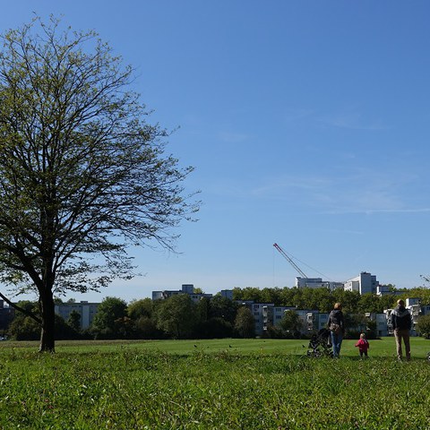 Unbebaute Grünflächen am Stadtrand gewährleisten die Frischluftzufuhr zum Siedlungsgebiet. (Foto: Irene Küpfer). Vergrösserte Ansicht