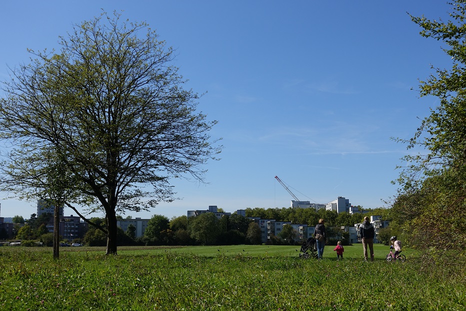 Unbebaute Grünflächen am Stadtrand gewährleisten die Frischluftzufuhr zum Siedlungsgebiet. (Foto: Irene Küpfer)