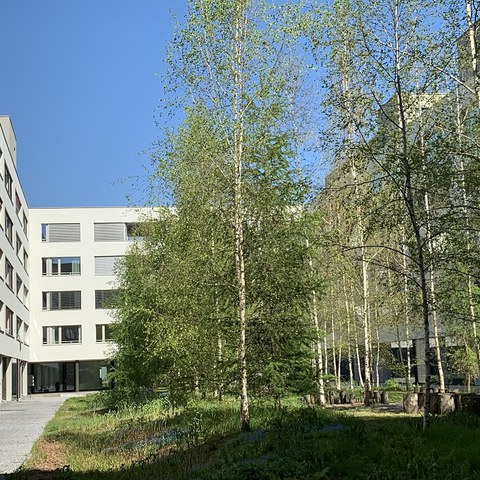 Grüne Innenhöfe erhöhen die Wohnqualität. (Foto: Irene Küpfer). Vergrösserte Ansicht