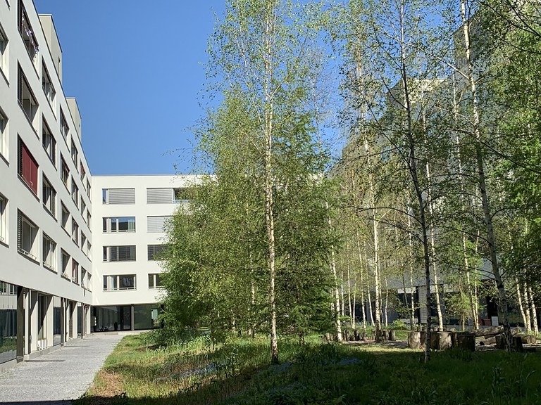 Grüne Innenhöfe erhöhen die Wohnqualität. (Foto: Irene Küpfer)
