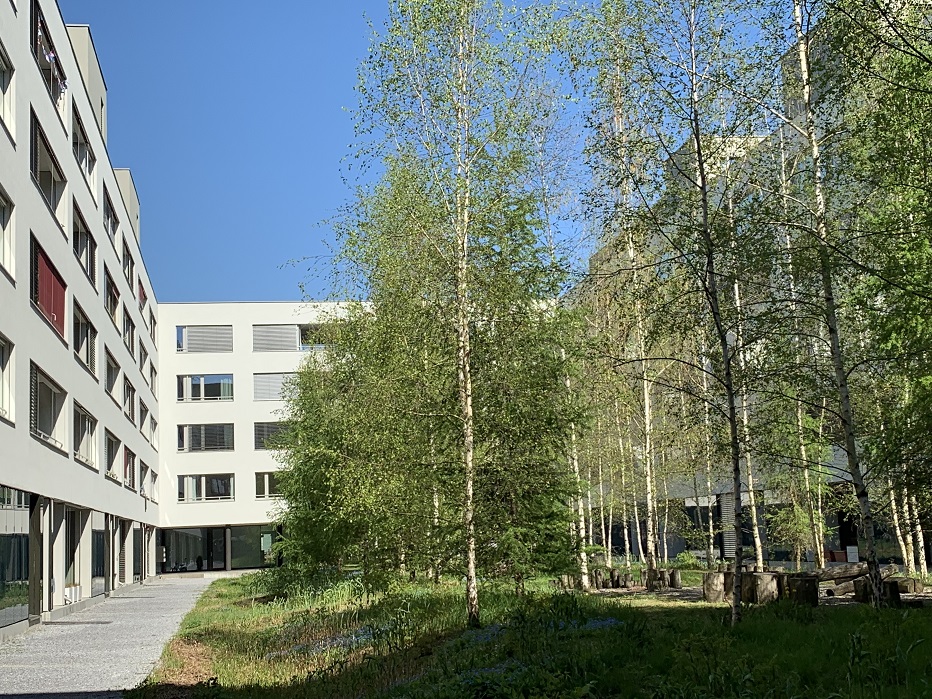 Grüne Innenhöfe erhöhen die Wohnqualität. (Foto: Irene Küpfer)
