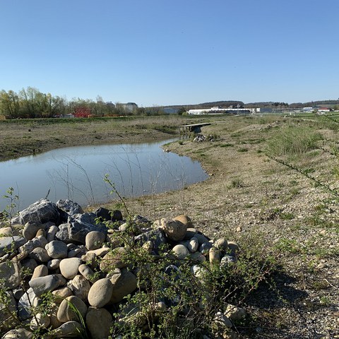 Hochwasser-Rückhalteraum - auch ökologisch und als Erholungsgebiet wertvoll. (Foto: Irene Küpfer). Vergrösserte Ansicht