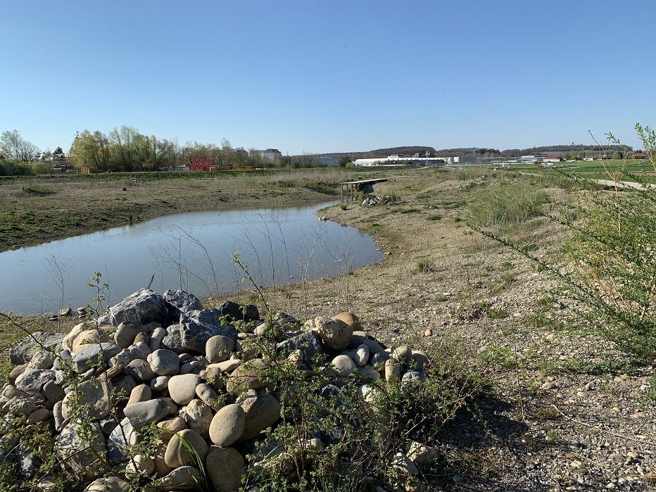 Hochwasser-Rückhalteraum - auch ökologisch und als Erholungsgebiet wertvoll. (Foto: Irene Küpfer)